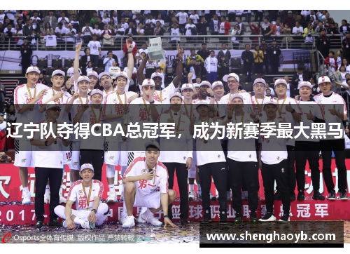 辽宁队夺得CBA总冠军,成为新赛季最大黑马