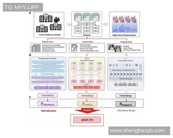 探索奥蓬达的魅力与历史深度,揭示其在当代文化中的重要地位与影响 探索奥蓬达的魅力与历史深度,揭示其在当代文化中的重要地位与影响