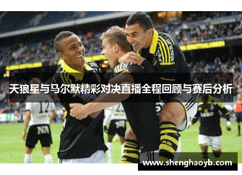天狼星与马尔默精彩对决直播全程回顾与赛后分析