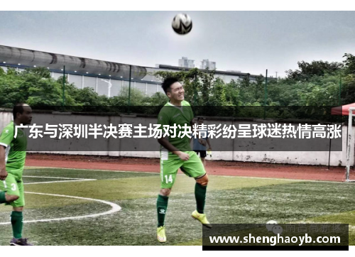 广东与深圳半决赛主场对决精彩纷呈球迷热情高涨