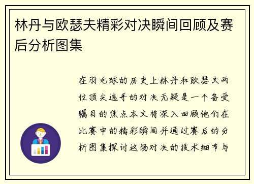 林丹与欧瑟夫精彩对决瞬间回顾及赛后分析图集
